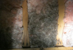 mould in roof insulation
